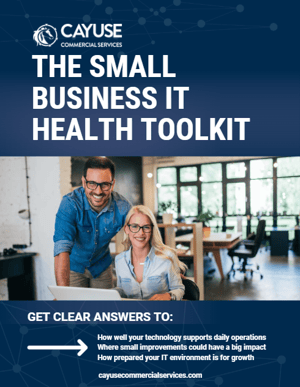The Cover of the Small Business IT Health Toolkit The Cover of the Small Business IT Health Toolkit