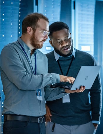 Data Processes and Analysis professionals