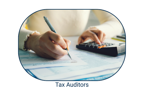 Our Tax Auditors add expertise to your team