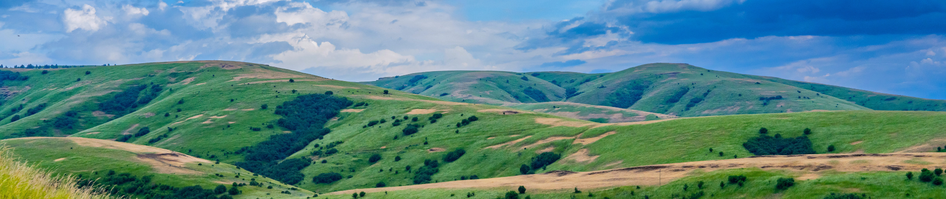 The Pendleton hillside offers a beauty all its own. The Pendleton hillside offers a beauty all its own.